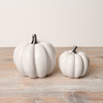 White Silver Stalk Pumpkin