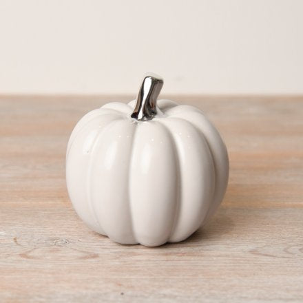 White Silver Stalk Pumpkin